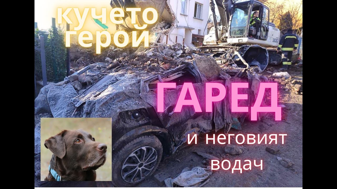 Кучето герой Гаред. Какво точно се случи? Трудна ли е работата на кучето в пожарната? Част втора.