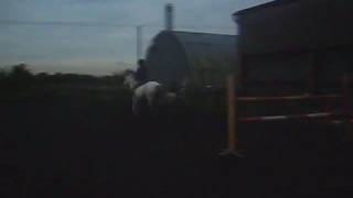 Jumping 1m20 (4ft) Bareback And Bridless