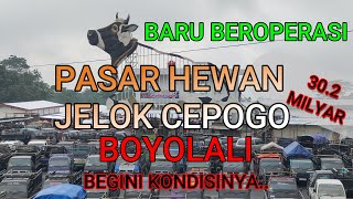 LATEST..! | JELOK CEPOGO ANIMAL MARKET | WHY IS IT LIKE THIS.. LATEST..! | JELOK CEPOGO ANIMAL MARKET | WHY IS IT LIKE THIS..
