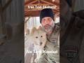 FREE Shelters Every Night on the Appalachian Trail But There’s a Catch. Appalachian Trail Facts #17