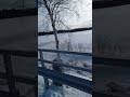 Winter lake ❄️