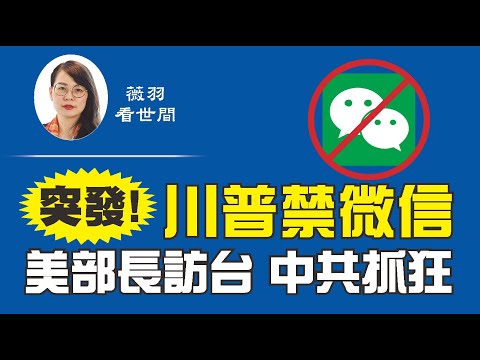 【第102期】突发！川普发布行政令，将在45天内禁止微信！美国卫生部长下周访台，这是自1979年以来，美国最高级别官员访台，让中共抓狂。- 薇羽看世间 20200807