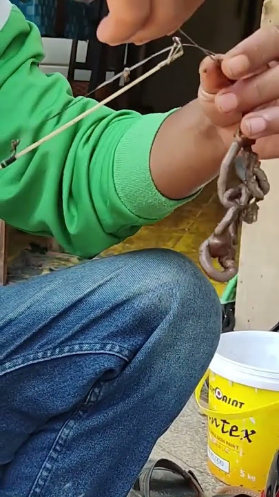 cara mancing channa limbata tanpa kail, dijamin ikan tidak rusak