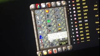 Baby Chinchompa Pet