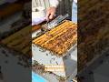 “If I’m Gonna Get Tagged, This Is Where It’s Gonna BEE!” 🐝 84yo Beekeeper UP IN THE BEEHIVE‼️