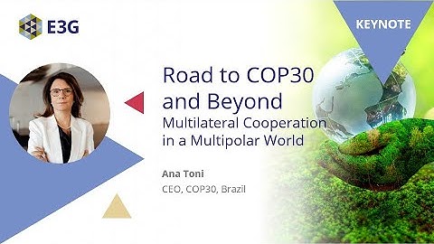 Road to COP30 and Beyond: Multilateral Cooperation in a Multipolar World