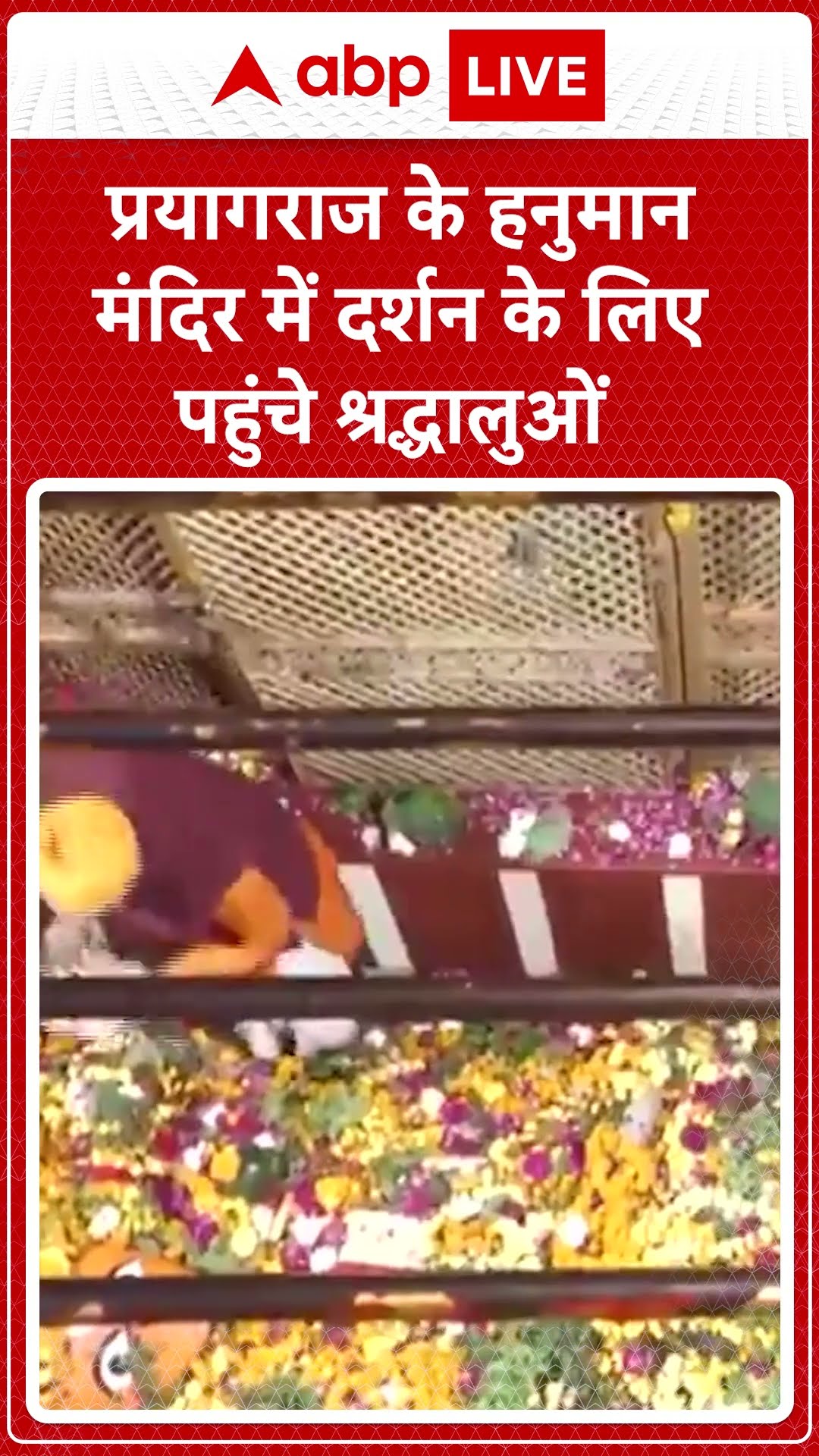 Prayagraj News: 2025 के पहले दिन श्रद्धालुओं ने हनुमान मंदिर में दर्शन किए |ABP LIVE | SHORTS