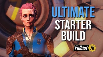 Beginner Build: BEST Perk Cards for New Players