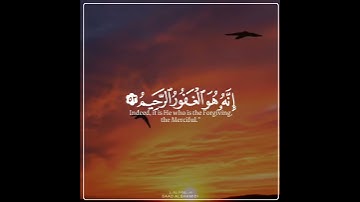 قرآن الكريم_ سعد الغامدي_ اجمل حالات واتس اب دينية سورة الزمر (قل يعبادى الذين اسرفوا على أنفسهم...)