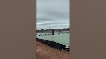 Tham quan ao nuôi ở Thái Lan và chia sẻ quy trình nuôi tôm không kháng sinh ở Việt Nam