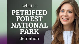 Petrified forest national park | what is PETRIFIED FOREST NATIONAL PARK meaning