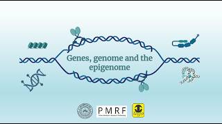 Week 21: Genes, genomes and the epigenome