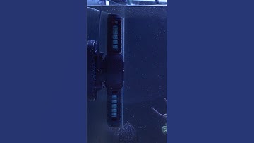 The AI Orbit Is the Flow Pump You’ve Been Waiting For! #brstv