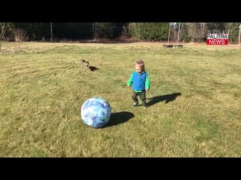 უხერხული მომენტების ვიდეოკოლაჟი