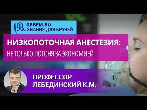 Профессор Лебединский К.М.: Низкопоточная анестезия: не только погоня за экономией