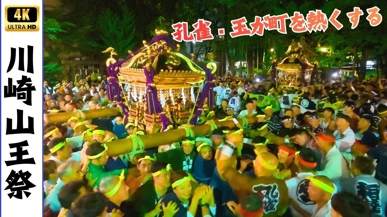 川崎山王祭】孔雀・玉の神輿が町を熱くする！盛り上がった神輿渡御2026