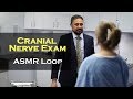 Asmr loop cranial nerve examination  soft spoken doctor  unintentional asmr  46 mins