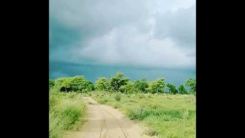 Thar Travel / Tharparkar weather / #trending #shortvideo  #greenthar #viralvideo #shorts #reel #love