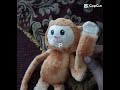 Untitled video