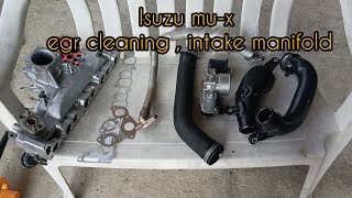 Isuzu Mu-x Egr Cleaning & Intake Manifold, Throttle body | 4jj1 D-max , Isuzu Alterra