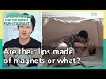 Are their lips made of magnets or what? (Stars' Top Recipe at Fun-Staurant) | KBS WORLD TV 210413