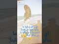 اغنيه اغلى الحبايب تركوني