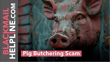 Pig Butchering Scams: The Silent Crisis Stealing Millions from the Vulnerable