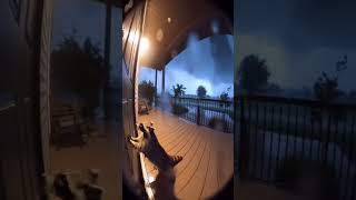Please save My Cute raccoon😱she alone in tornado 🌪️#cat #alone #viral #anime #pawangels #pets
