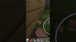 Second 20 sec of EP 2 of copy version of minecraft
