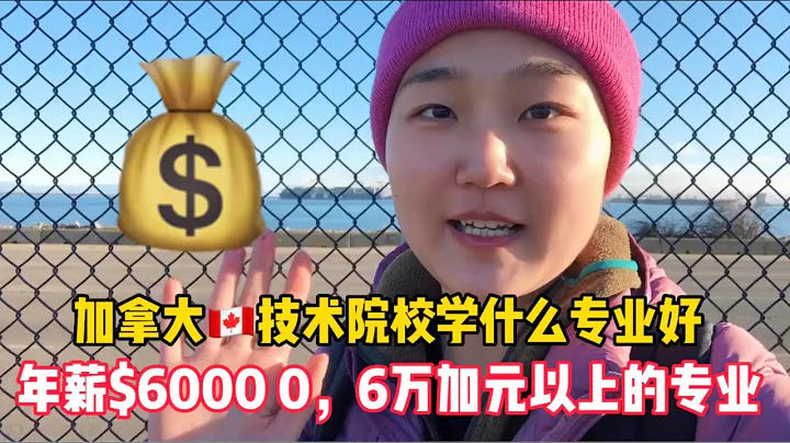 加拿大留學學什麼專業好，年薪6萬以上的專業有哪些 - 天天要聞