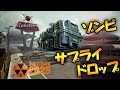 ニュークタウン2025ゾンビ！サプラドロップにパンツァーも登場！ NUK37OWN: Realism Mod 3.0