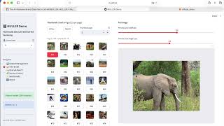 A Demonstration of MULLER: a Multimodal Data Lake Format for Collaborative AI Data Workflows