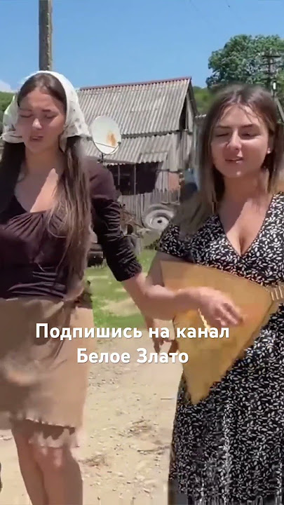 Beloe Zlato - Роза