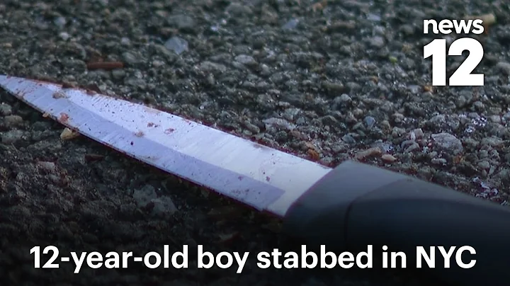 Two children in police custody after 12-year-old boy stabbed at NYC playground | News 12