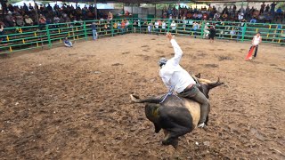 La tradición de las BARRERAS DE TOROS no puede faltar en Nicaragua