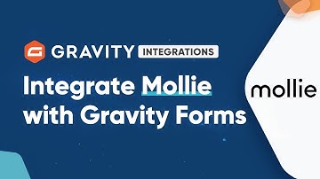 Accept Payments from Around the World with the Gravity Forms Mollie Add-On