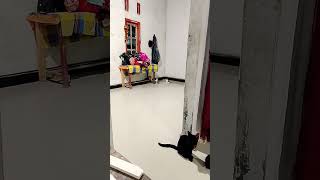  Janganlah Kata Itu Dj Remix Jedag Jedug Bass Pop Viral 2026  djremix bass viral2026