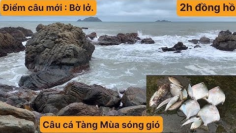 Câu Cá Mùa Sóng Gió, Câu Cá Biển Tự Nhiên, Câu Ghềnh, Câu Đài. TÝ FISHING ( Vietnamese fishing ).