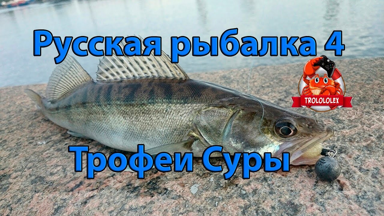Рр3 волга берш