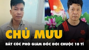 Bắt cóc phó giám đốc đòi chuộc 10 tỉ, chủ mưu gây án là 2 anh em ruột