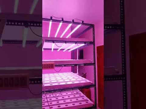 Hydroponic indoor system