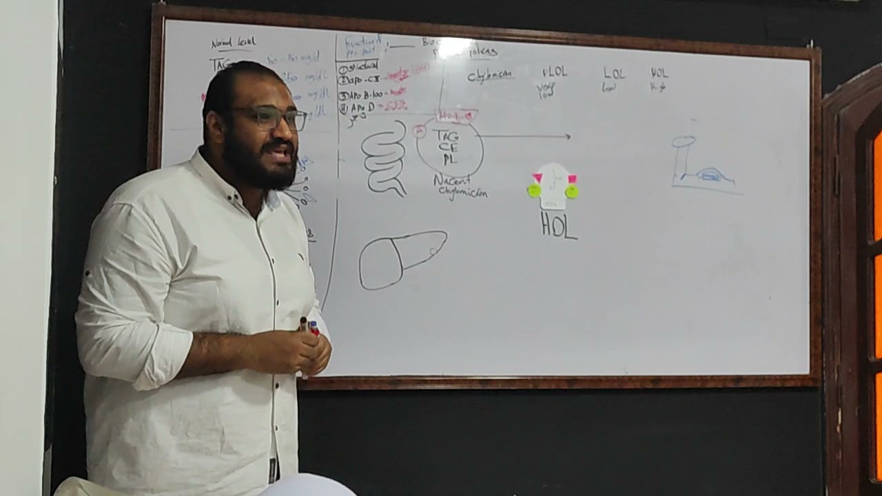 Biochemistry - 2nd year - Plasma Lipoprotein metabolism