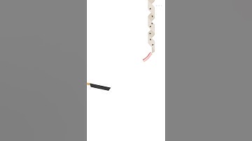 Bacon The Game - level 91 (fly trap)