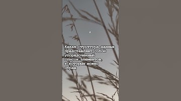 IT Викторина #internet #интернет #shorts #memes #программирование #programming #мемы #git #github