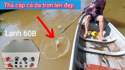357 Cái Xiệt, Test Thực Tế Kích Lạnh 60b Chuyên Đánh Thuyền Kéo Cáp Cá Da Trơn Vẩy Miền Fishing