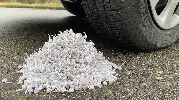 Crushing Crunchy & Soft Things by Car! EXPERIMENT  POP POP FIRECRACKERS vs CAR