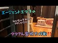 エージェントエマ子の日常その１（スマホ用縦動画）