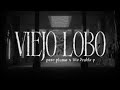 viejo lobo - Peso Pluma & Tito Double P (Lyric Video)