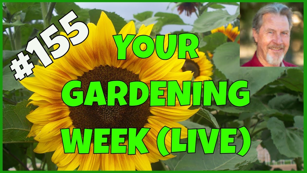 Preparing Garden Soil in Spring (Q&A) - YouTube