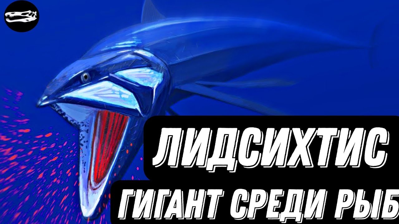 ЛИДСИХТИС | Самая большая костная рыба на Земле!